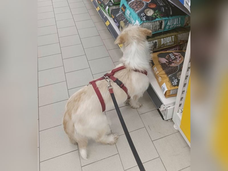 KIRA möchte endlich ankommen