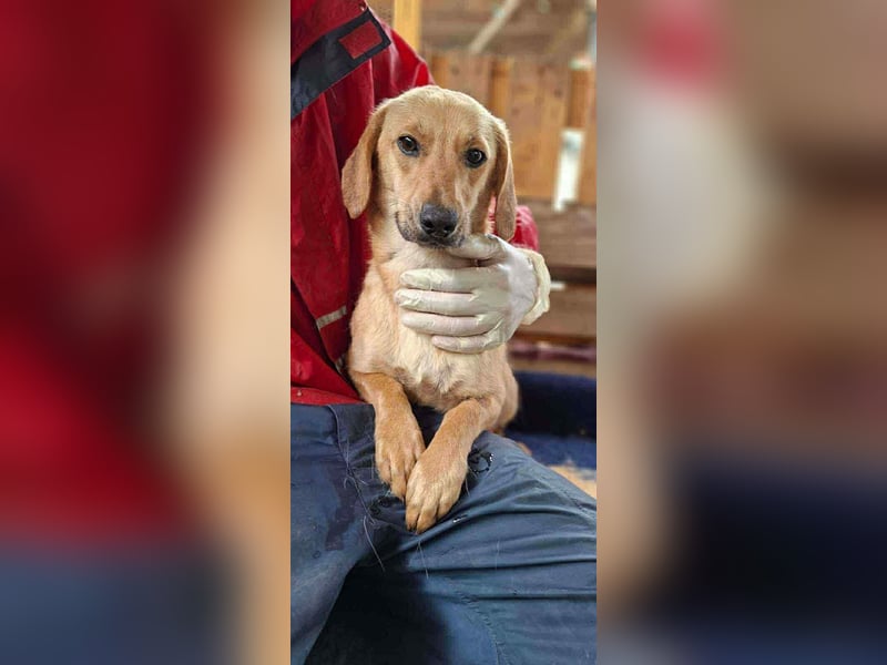 Elodie ist verzweifelt