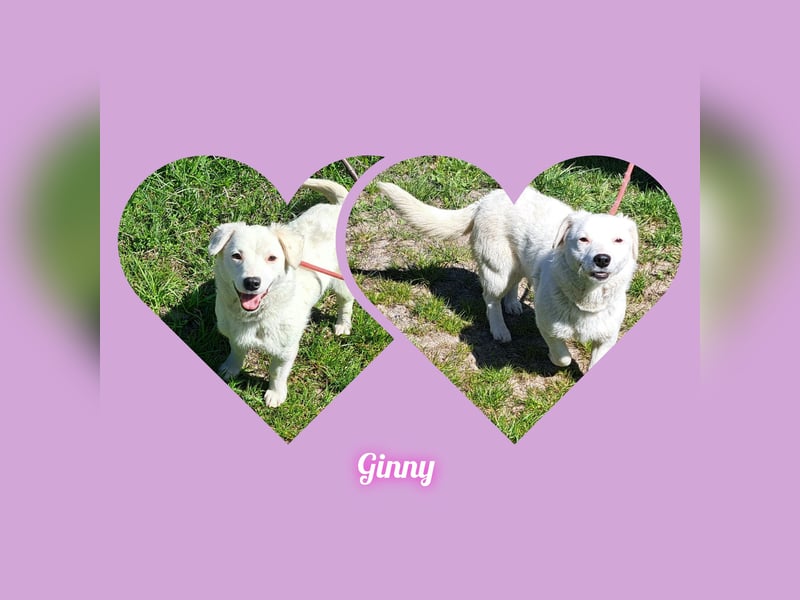 Süsse kleine GINNY 28 cm, möchte Rumänien verlassen