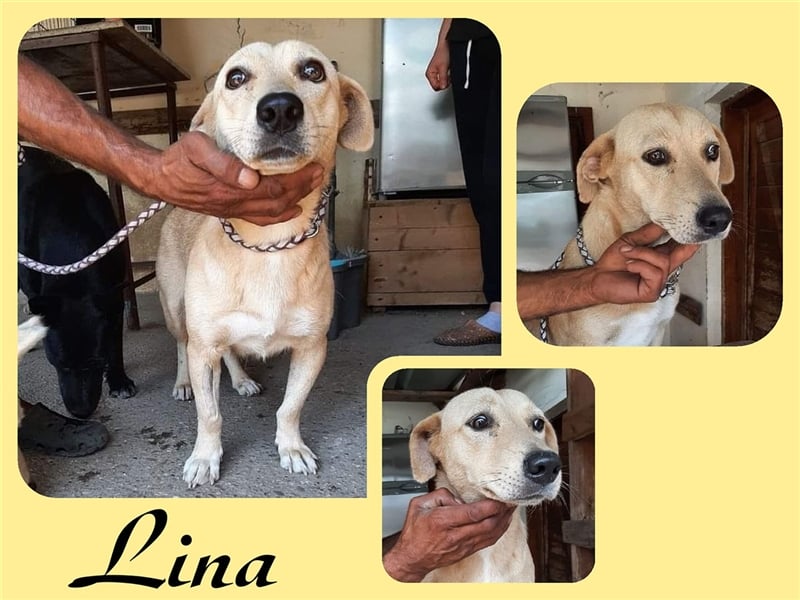 Kleine Lina sucht warmen Platz auf Deiner Couch