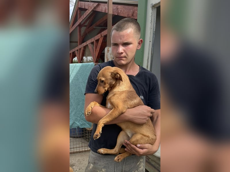 Daru, süßes Püppchen sucht ihre Familie