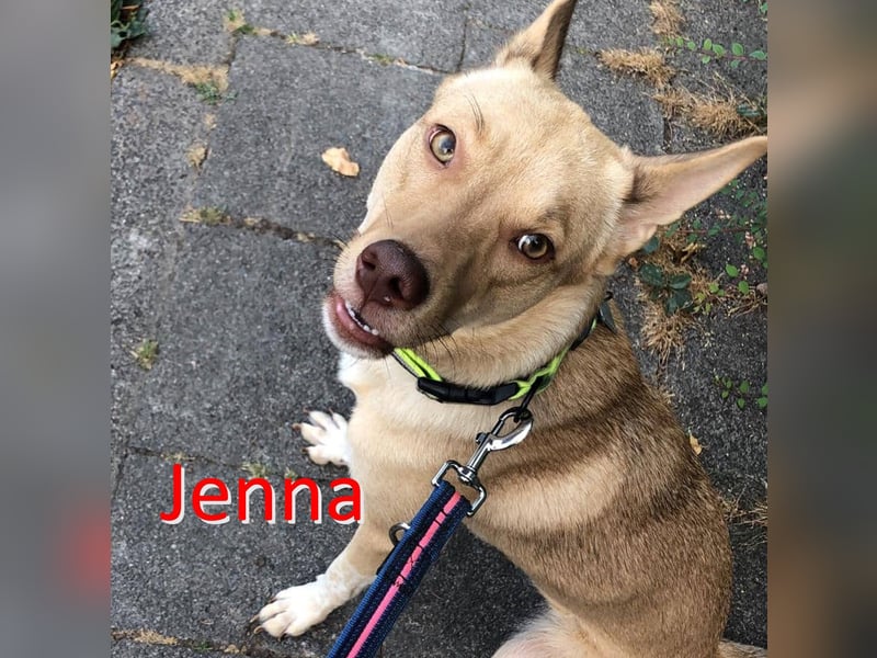JENNA ❤  wartet in 47495 Rheinberg auf Dich