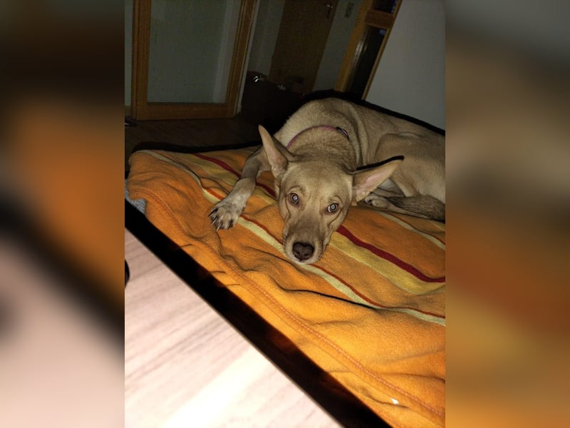 JENNA ❤  wartet in 47495 Rheinberg auf Dich