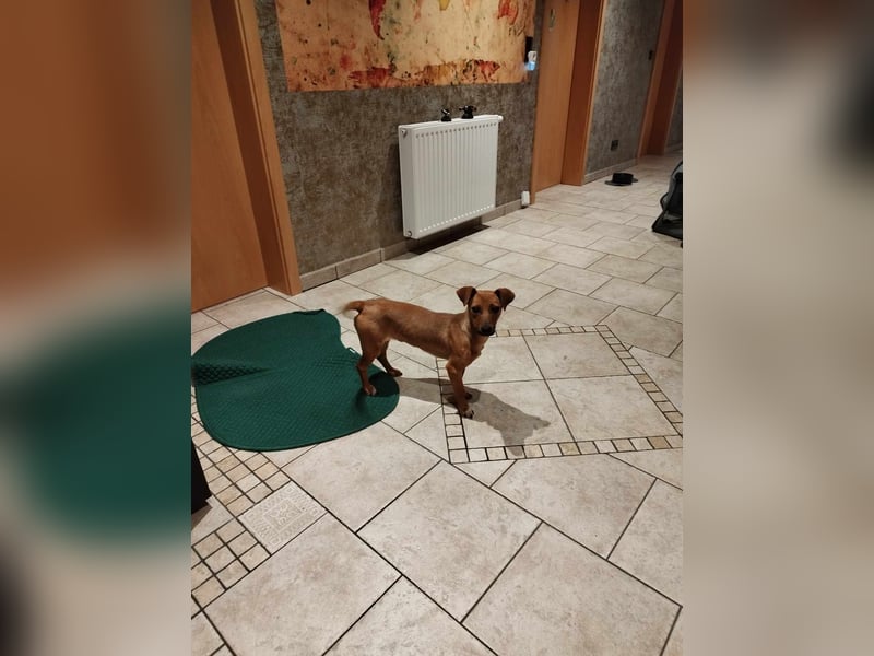 ALMOND ❤  wartet in 27624 Geestland auf Dich