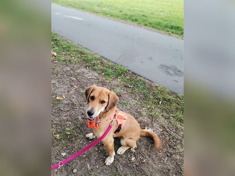 MAMACITA ❤  wartet in 26349 jade auf Dich