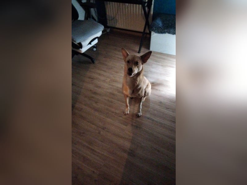 JENNA ❤  wartet in 47495 Rheinberg auf Dich