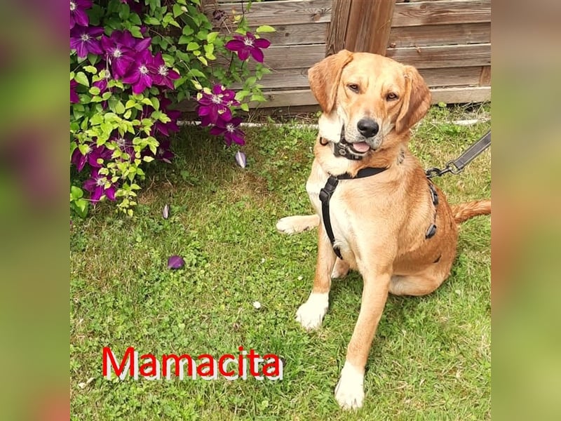 MAMACITA ❤  wartet in 26349 jade auf Dich