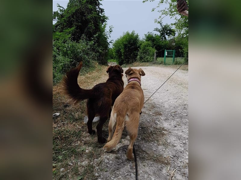 Gweny sucht Familienanschluss