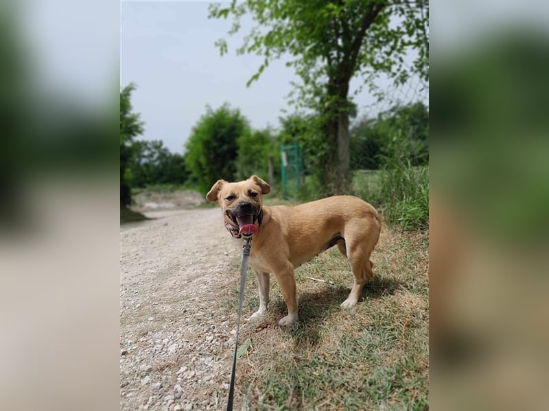 Gweny sucht Familienanschluss