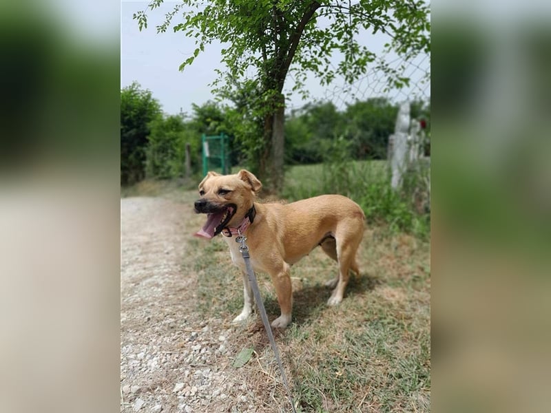 Gweny sucht Familienanschluss