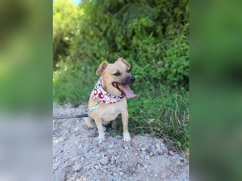 Gweny sucht Familienanschluss
