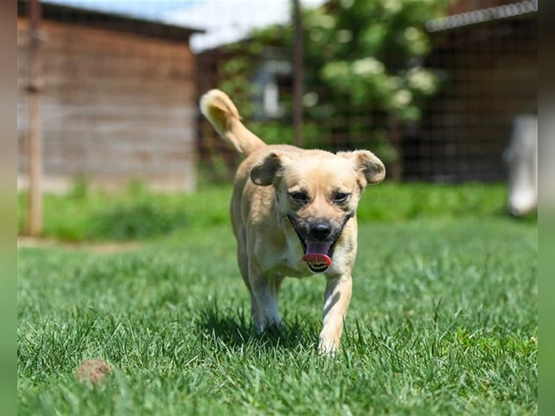 Gweny sucht Familienanschluss