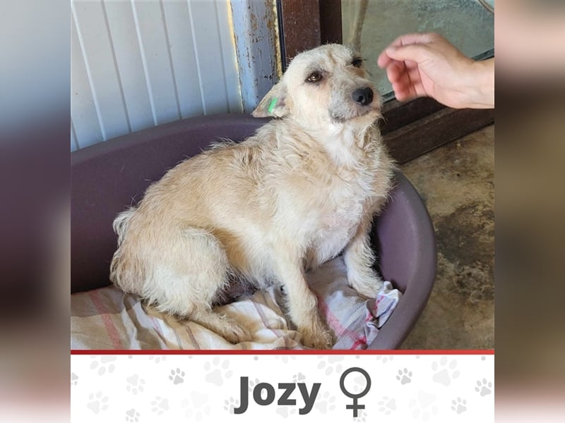 JOZY ❤  wartet in 52441 Linnich-Gereonsweiler auf Dich