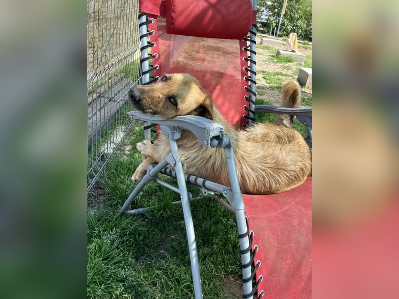 Brenda- warum sieht mich niemand?