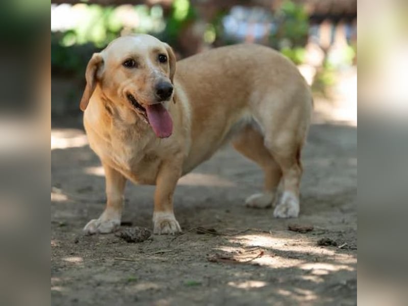 Alma
