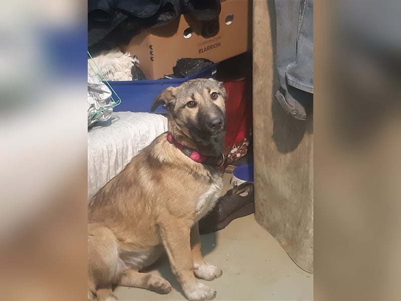 Zoë