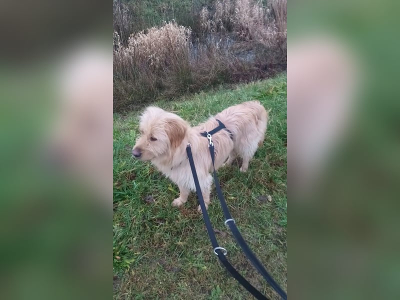 Notfall in Deutschland