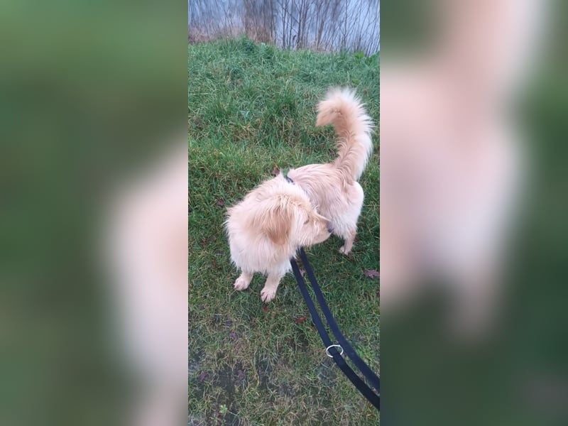 Notfall in Deutschland