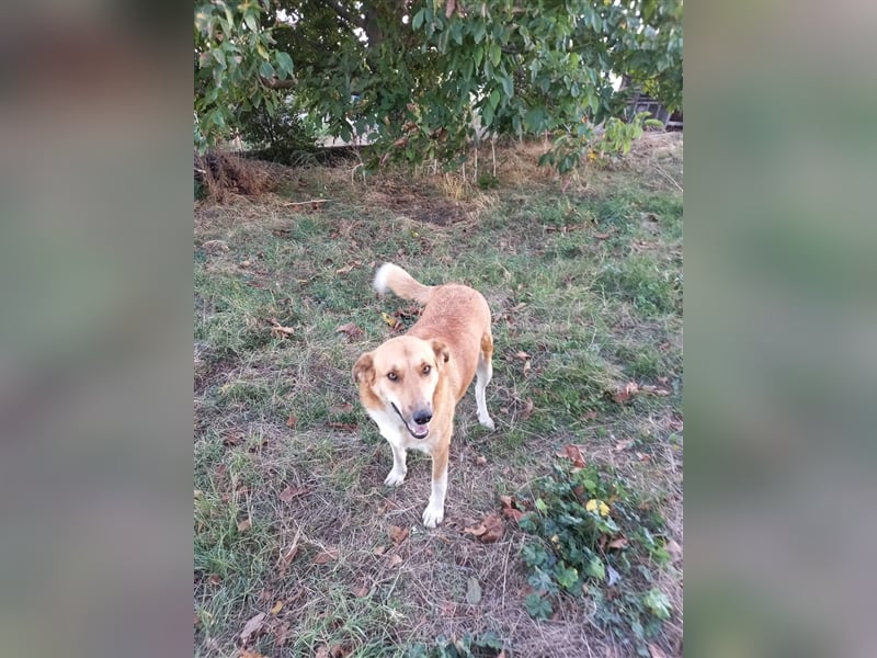 Beba - lieb und freundlich