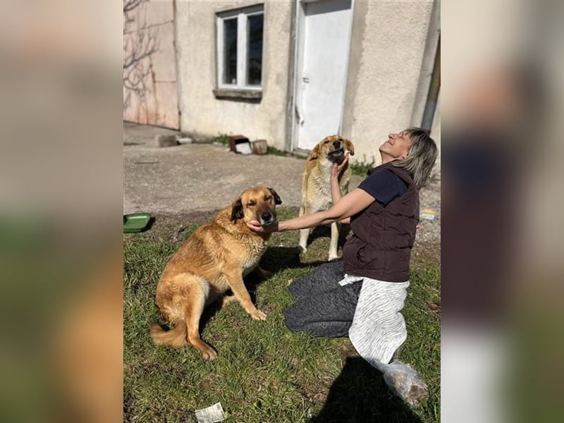 Beba - lieb und freundlich