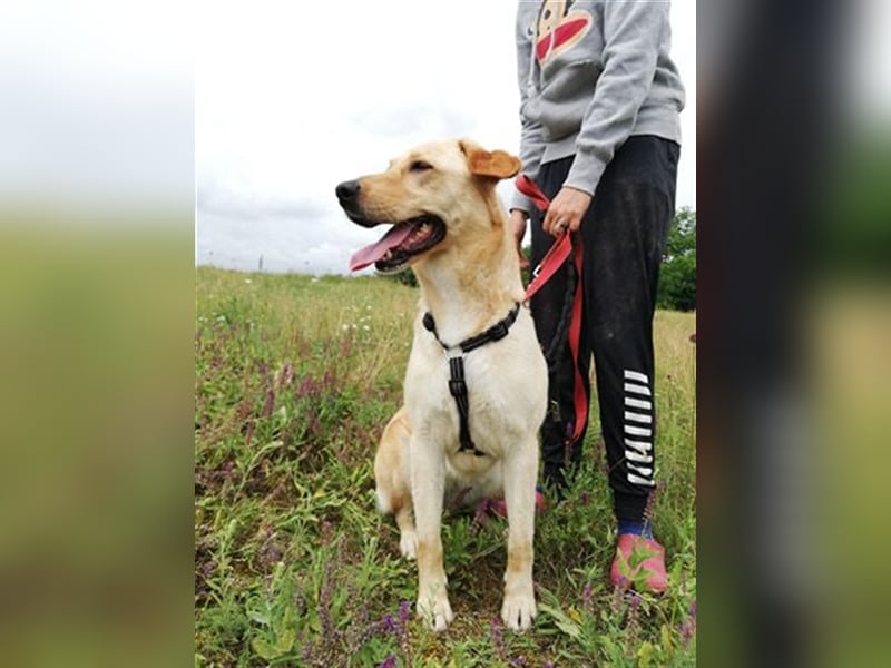 LIZA, blonde Schönheit sucht ein Zuhause