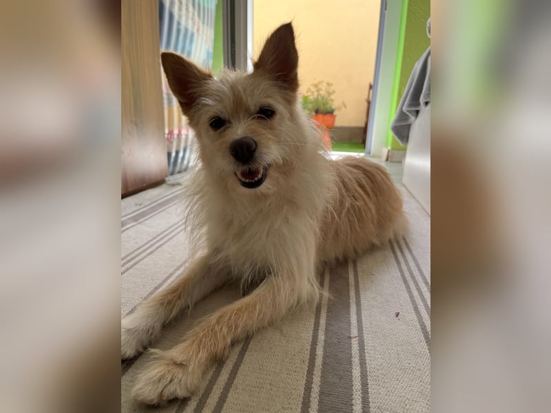 Loretta SR – Unkomplizierte Dame sucht ihr Zuhause