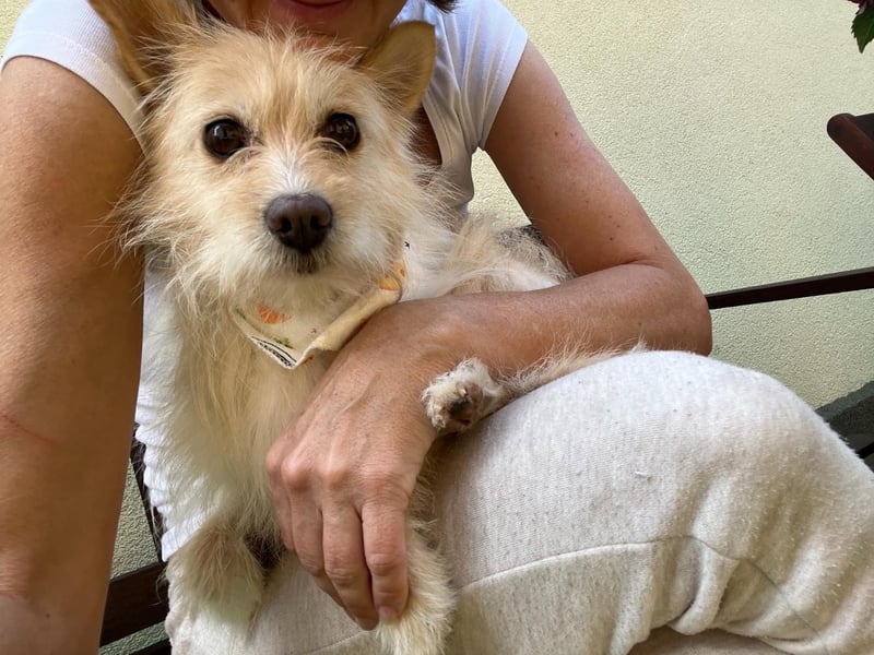 Loretta SR – Unkomplizierte Dame sucht ihr Zuhause