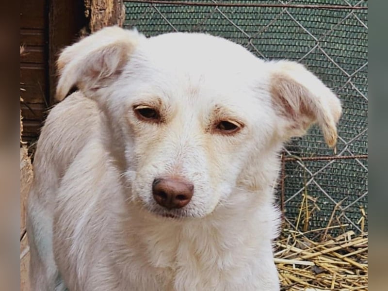 Kleine Prinzessin *ANNA* sucht Familienanschluß