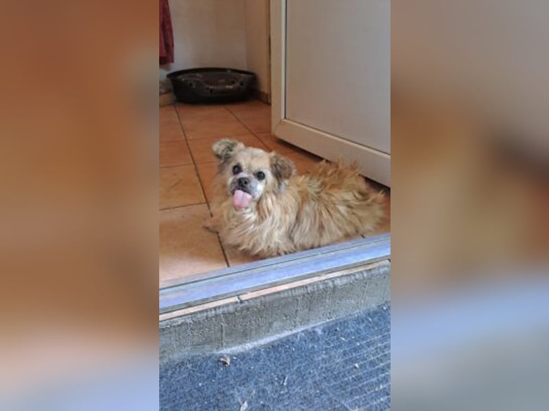 NOLLY- RESERVIERT