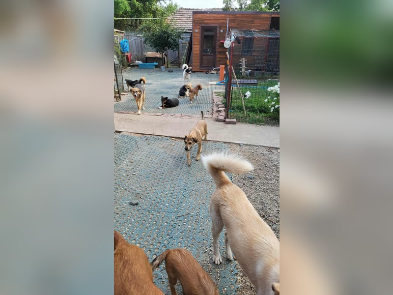 NORA - ist bereit für Abenteuer