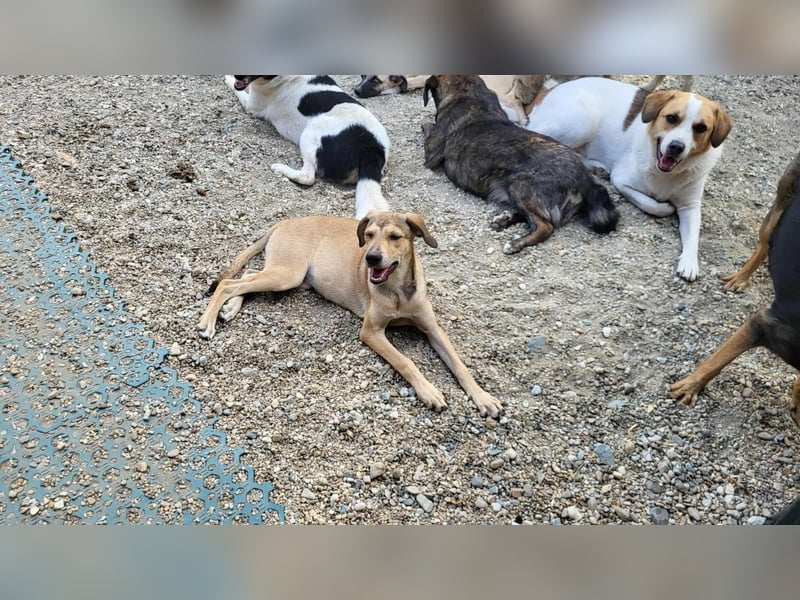 NORA - ist bereit für Abenteuer