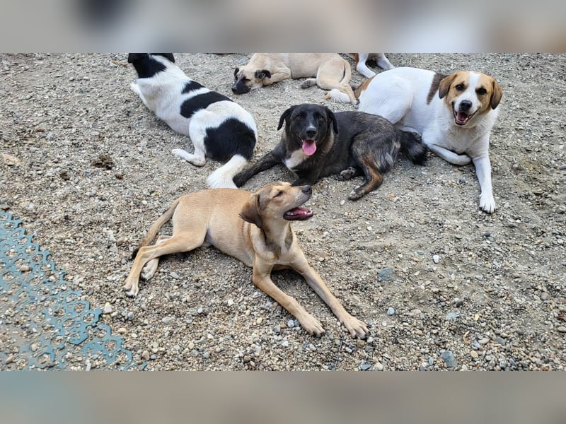 NORA - ist bereit für Abenteuer