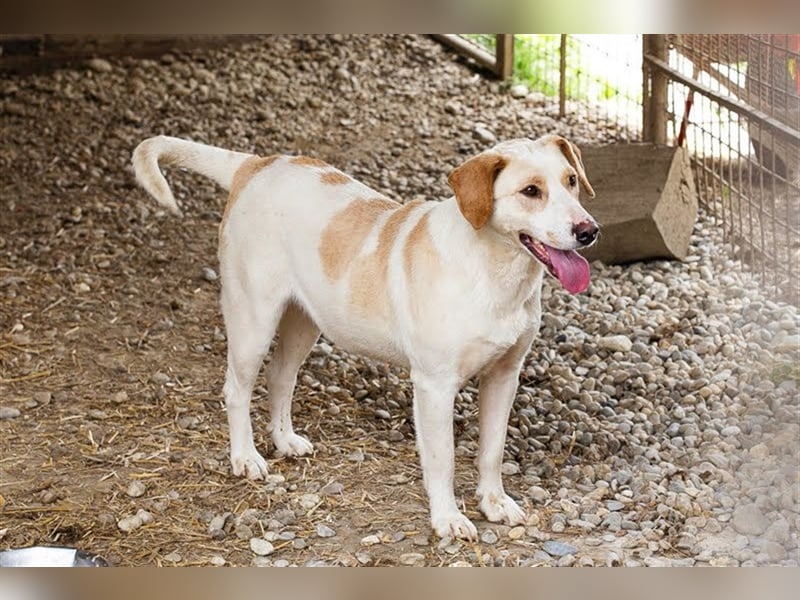 MELLY - die hübsche Seniorin sucht Menschen, die ihr Liebe und Geborgenheit geben
