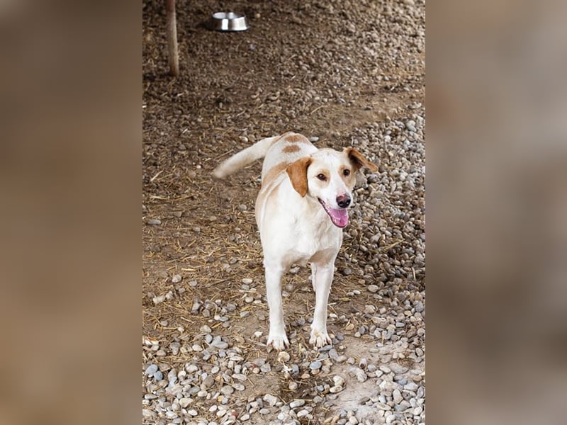 MELLY - die hübsche Seniorin sucht Menschen, die ihr Liebe und Geborgenheit geben