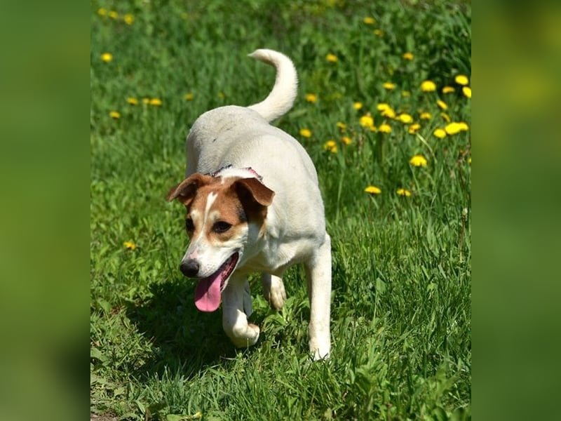 Bella Y153 ist voller Lebensfreude