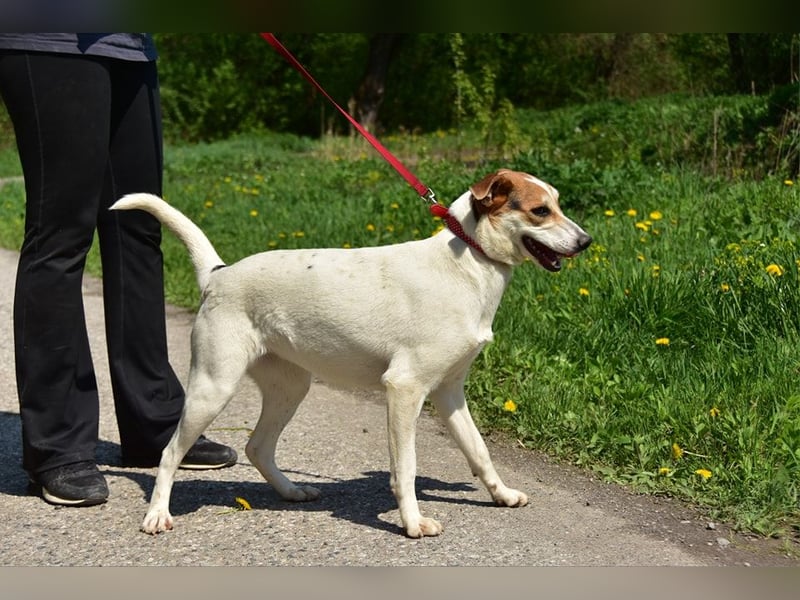 Bella Y153 ist voller Lebensfreude