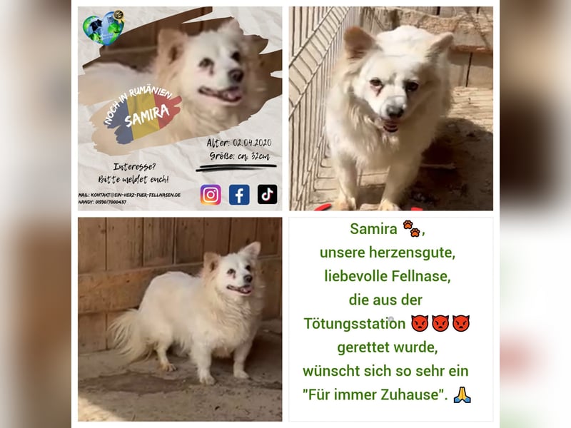 Unsere liebe SAMIRA