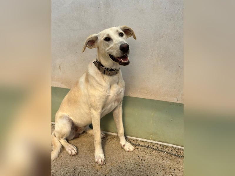 Lilly – sensibel, aktiv, besonders. Wer gibt ihr diesmal die richtige Chance?