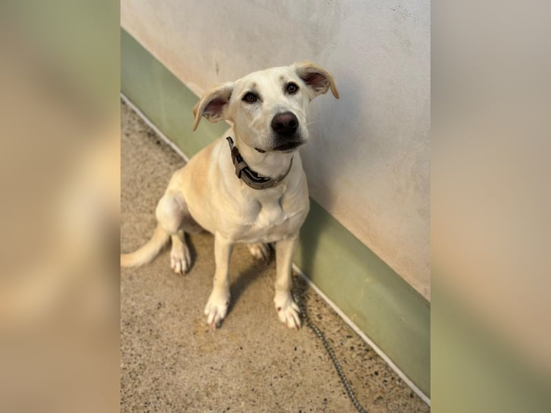 Lilly – sensibel, aktiv, besonders. Wer gibt ihr diesmal die richtige Chance?