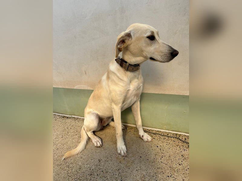 Lilly – sensibel, aktiv, besonders. Wer gibt ihr diesmal die richtige Chance?