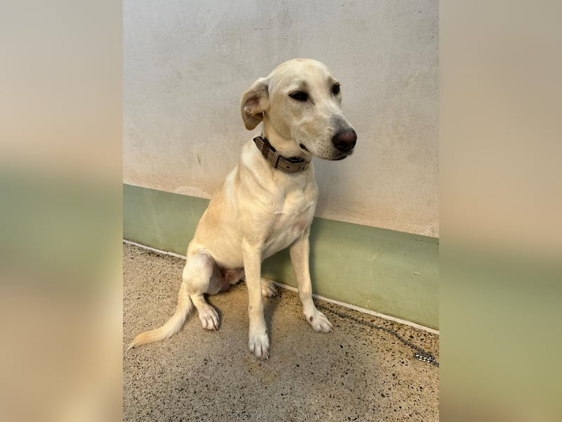Lilly – sensibel, aktiv, besonders. Wer gibt ihr diesmal die richtige Chance?