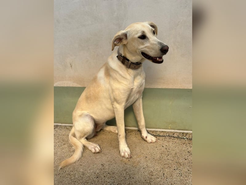Lilly – sensibel, aktiv, besonders. Wer gibt ihr diesmal die richtige Chance?