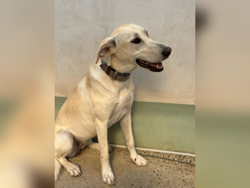 Lilly – sensibel, aktiv, besonders. Wer gibt ihr diesmal die richtige Chance?
