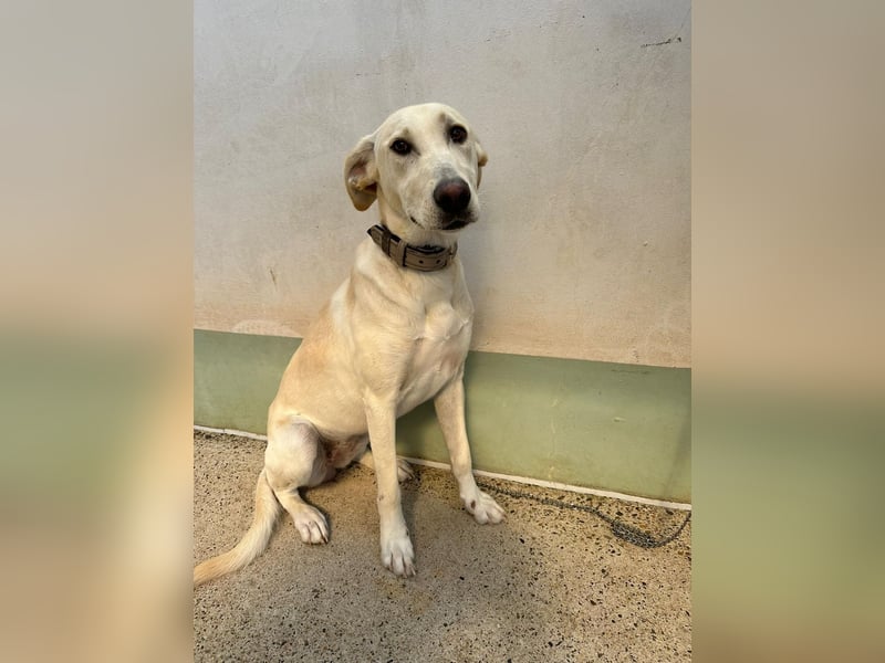 Lilly – sensibel, aktiv, besonders. Wer gibt ihr diesmal die richtige Chance?