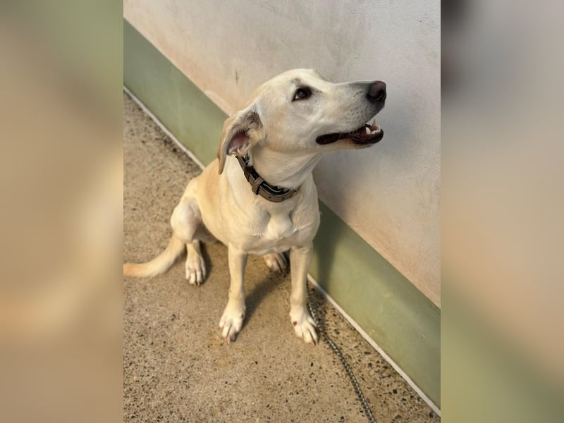 Lilly – sensibel, aktiv, besonders. Wer gibt ihr diesmal die richtige Chance?
