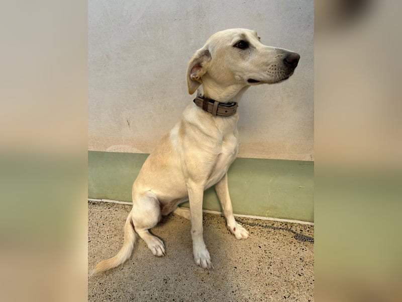 Lilly – sensibel, aktiv, besonders. Wer gibt ihr diesmal die richtige Chance?