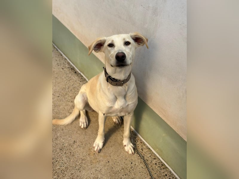 Lilly – sensibel, aktiv, besonders. Wer gibt ihr diesmal die richtige Chance?