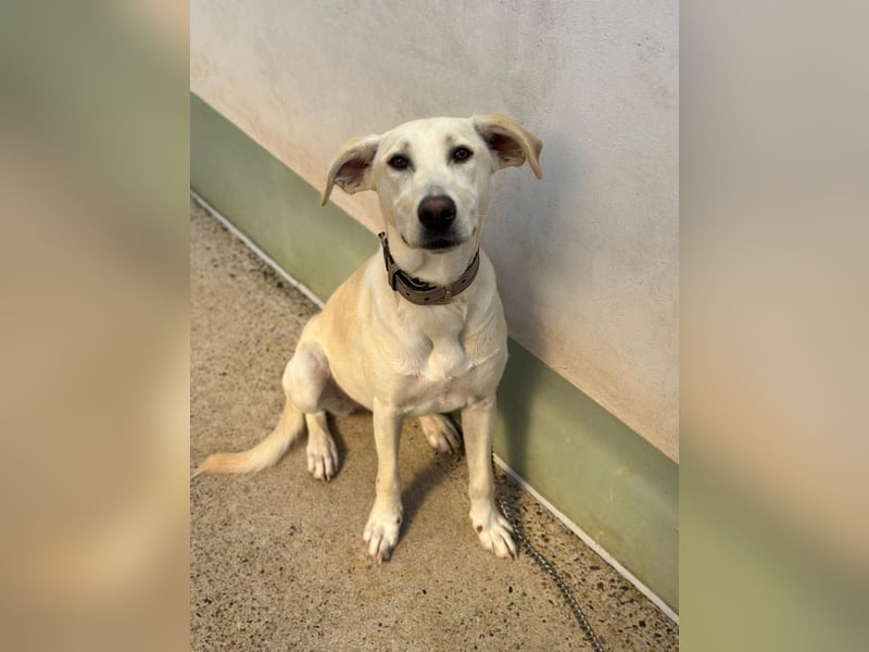 Lilly – sensibel, aktiv, besonders. Wer gibt ihr diesmal die richtige Chance?