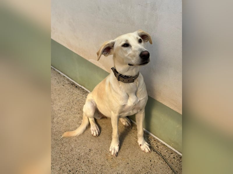 Lilly – sensibel, aktiv, besonders. Wer gibt ihr diesmal die richtige Chance?