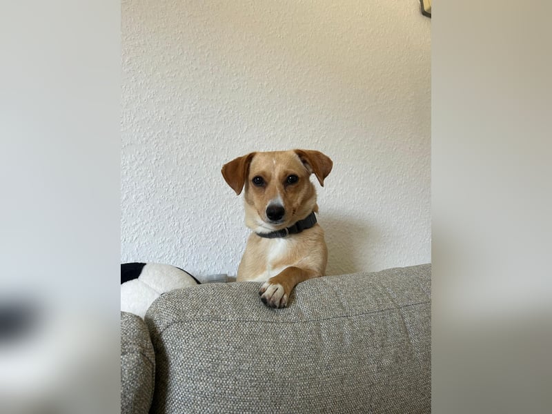 Eduarda auf der Suche nach ihrem passenden Zuhause
